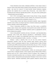 Etnografinis kaimo turizmas 13 puslapis