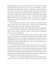 Etnografinis kaimo turizmas 15 puslapis