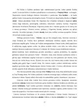 Etnografinis kaimo turizmas 17 puslapis