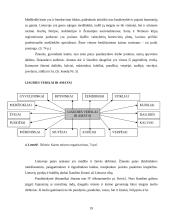 Etnografinis kaimo turizmas 19 puslapis