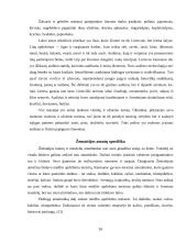 Etnografinis kaimo turizmas 20 puslapis