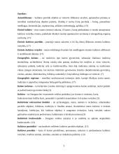 Etnografinis kaimo turizmas 3 puslapis