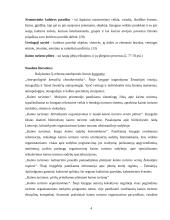 Etnografinis kaimo turizmas 4 puslapis