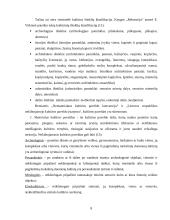 Etnografinis kaimo turizmas 8 puslapis