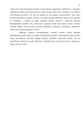 Etnometodologija politinės komunikacijos kontekste 11 puslapis