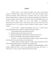 Etnometodologija politinės komunikacijos kontekste 2 puslapis