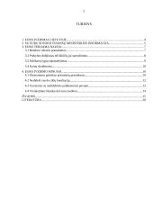 Euras Lietuvos link 2 puslapis