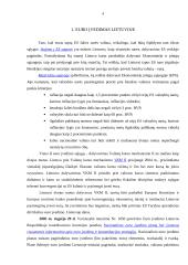 Euras Lietuvos link 4 puslapis