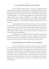 Euras. Ar verta įvesti eurą Lietuvoje 10 puslapis