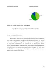 Euro įvedimo įtaka Lietuvos ekonomikai 13 puslapis