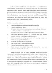 Euro įvedimo įtaka Lietuvos ekonomikai 16 puslapis