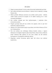 Euro įvedimo įtaka Lietuvos ekonomikai 17 puslapis