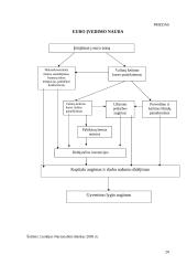 Euro įvedimo įtaka Lietuvos ekonomikai 19 puslapis