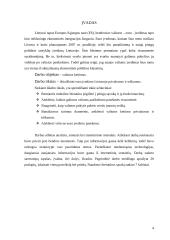 Euro įvedimo įtaka Lietuvos ekonomikai 3 puslapis