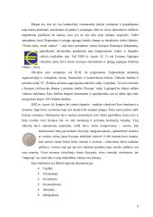 Euro įvedimo įtaka Lietuvos ekonomikai 8 puslapis