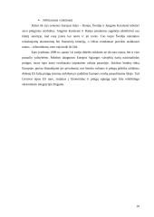 Euro įvedimo įtaka Lietuvos ekonomikai 9 puslapis