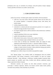 Euro įvedimo problemos 4 puslapis