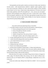 Euro įvedimo problemos 5 puslapis