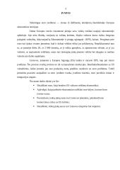 Euro įvedimo reikšmė 2 puslapis