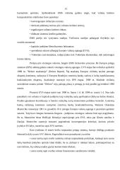 Euro įvedimo reikšmė 11 puslapis