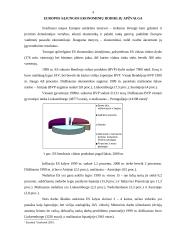 Euro įvedimo reikšmė 3 puslapis