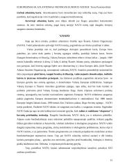 Europeizmas ir atlantizmas 13 puslapis