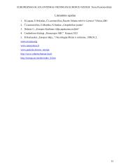 Europeizmas ir atlantizmas 15 puslapis