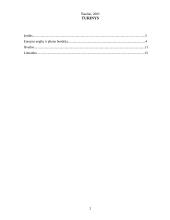 Europos anglių ir plieno bendrija – pirmasis Europos integracijos metodas 2 puslapis