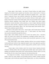 Europos anglių ir plieno bendrija – pirmasis Europos integracijos metodas 11 puslapis