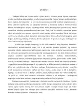 Europos anglių ir plieno bendrija – pirmasis Europos integracijos metodas 3 puslapis