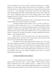 Europos atsiskaitymo valiutos 4 puslapis