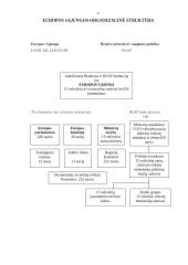 Europos Bendrija 20 puslapis