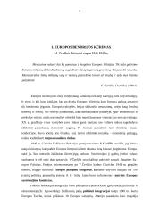 Europos Bendrija 4 puslapis