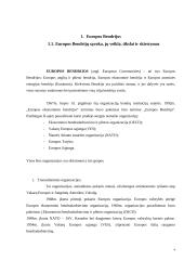 Europos bendrijų  evoliucija į Europos sąjungą 4 puslapis