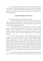 Europos bendrovė - geriausia verslo forma įmonėms veikiančioms keliose Europos sąjungos šalyse 10 puslapis