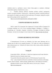 Europos bendrovė - geriausia verslo forma įmonėms veikiančioms keliose Europos sąjungos šalyse 11 puslapis