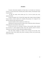 Europos bendrovė - geriausia verslo forma įmonėms veikiančioms keliose Europos sąjungos šalyse 13 puslapis