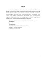 Europos bendrovė - geriausia verslo forma įmonėms veikiančioms keliose Europos sąjungos šalyse 2 puslapis