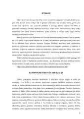 Europos bendrovė - geriausia verslo forma įmonėms veikiančioms keliose Europos sąjungos šalyse 3 puslapis