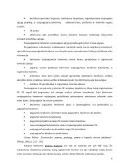 Europos bendrovė - geriausia verslo forma įmonėms veikiančioms keliose Europos sąjungos šalyse 5 puslapis