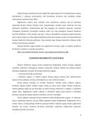 Europos bendrovė - geriausia verslo forma įmonėms veikiančioms keliose Europos sąjungos šalyse 7 puslapis