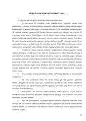Europos bendrovė - geriausia verslo forma įmonėms veikiančioms keliose Europos sąjungos šalyse 9 puslapis