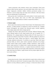 Europos naudingosios iškasenos ir jų pasiskirstymas 7 puslapis