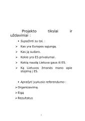 Europos Sąjunga (ES) 3 puslapis