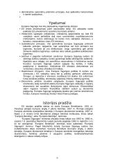 Europos Sąjunga (ES) 6 puslapis