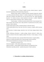 Bendrosios ES politikos kryptys 2 puslapis