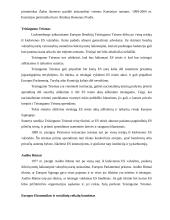 Europos Sąjunga (ES). Valstybės pagrindų pristatymas 13 puslapis