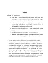 Europos Sąjunga (ES). Valstybės pagrindų pristatymas 17 puslapis