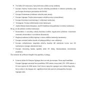 Europos Sąjunga (ES). Valstybės pagrindų pristatymas 18 puslapis