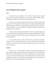 Europos Sąjunga (ES). Valstybės pagrindų pristatymas 3 puslapis